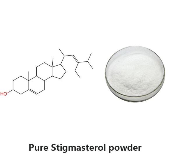المكملات الغذائية الطبيعية مسحوق ستيغماستيرول
